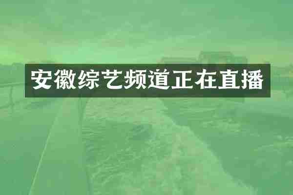 安徽综艺频道正在直播