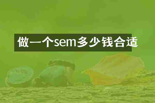做一个sem多少钱合适