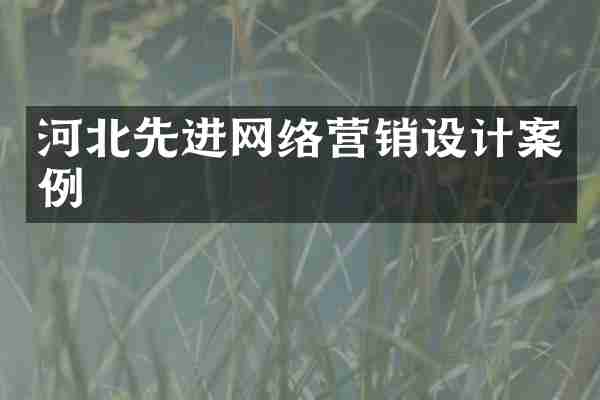 河北先进网络营销设计案例