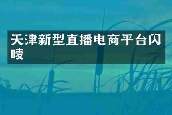 天津新型直播电商平台闪唛