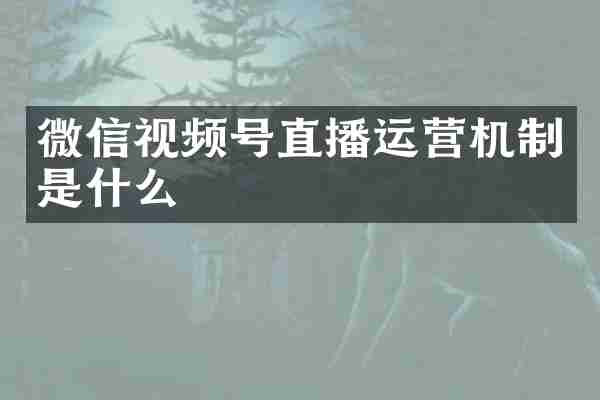 微信视频号直播运营机制是什么