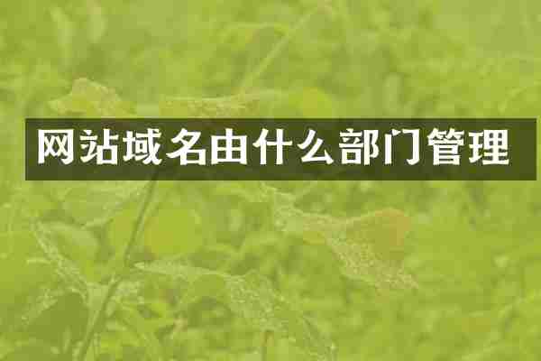 网站域名由什么部门管理