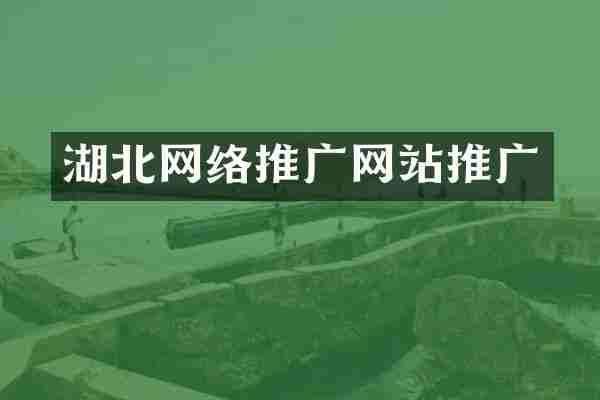 湖北网络推广网站推广