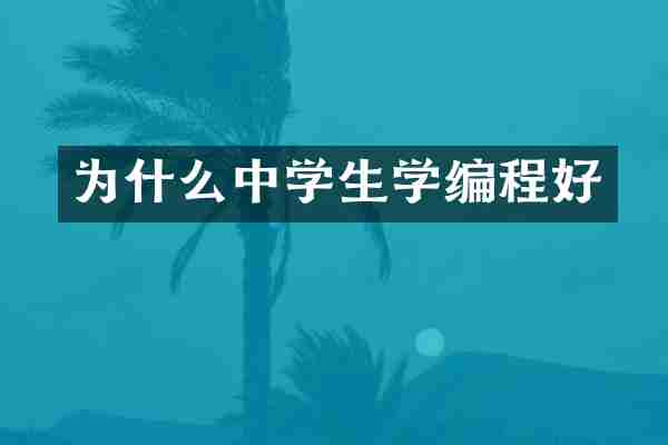 为什么中学生学编程好