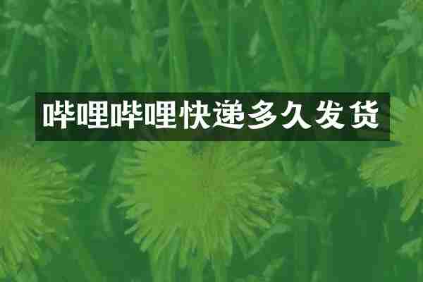哔哩哔哩快递多久发货