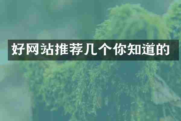 好网站推荐几个你知道的