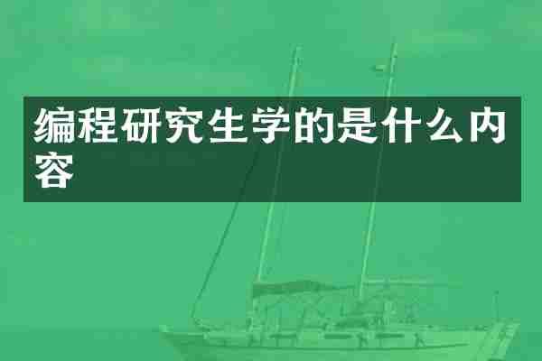 编程研究生学的是什么内容