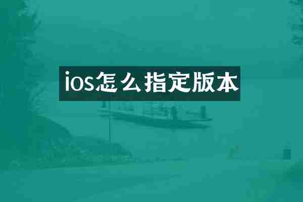 ios怎么指定版本