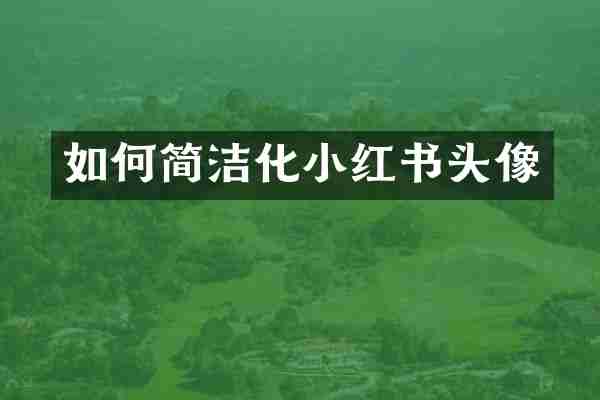如何简洁化小红书头像
