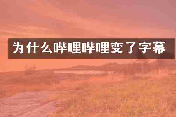 为什么哔哩哔哩变了字幕