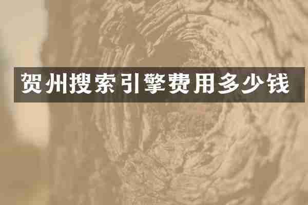 贺州搜索引擎费用多少钱