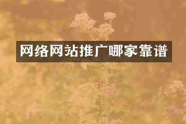 网络网站推广哪家靠谱
