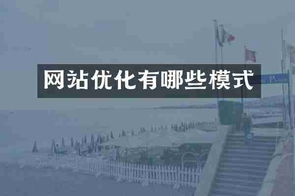 网站优化有哪些模式