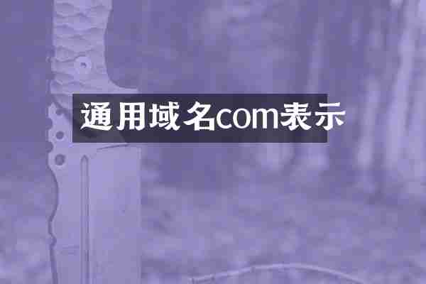 通用域名com表示