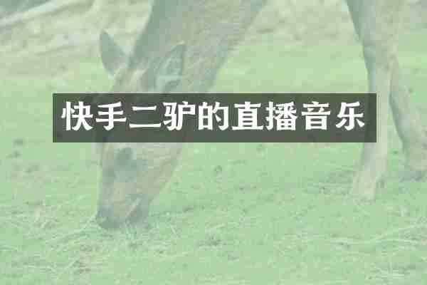快手二驴的直播音乐