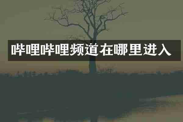 哔哩哔哩频道在哪里进入