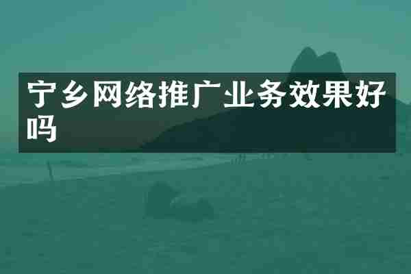 宁乡网络推广业务效果好吗
