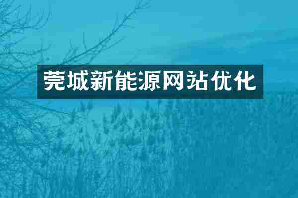 莞城新能源网站优化
