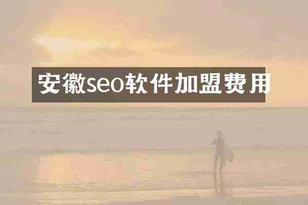 安徽seo软件加盟费用
