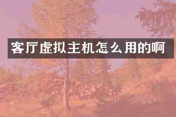 客厅虚拟主机怎么用的啊