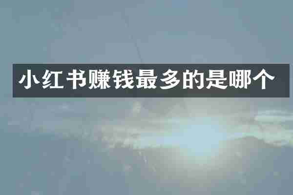 小红书赚钱最多的是哪个