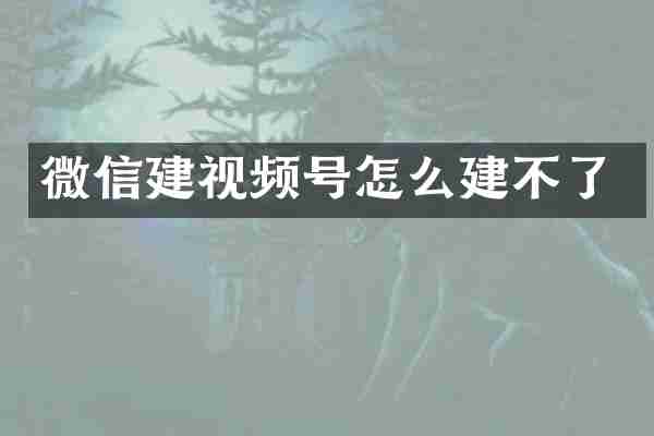 微信建视频号怎么建不了