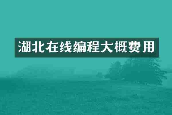 湖北在线编程大概费用