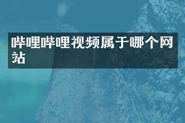 哔哩哔哩视频属于哪个网站