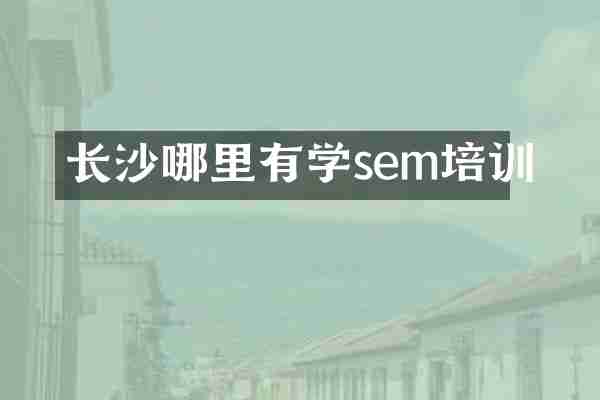 长沙哪里有学sem培训