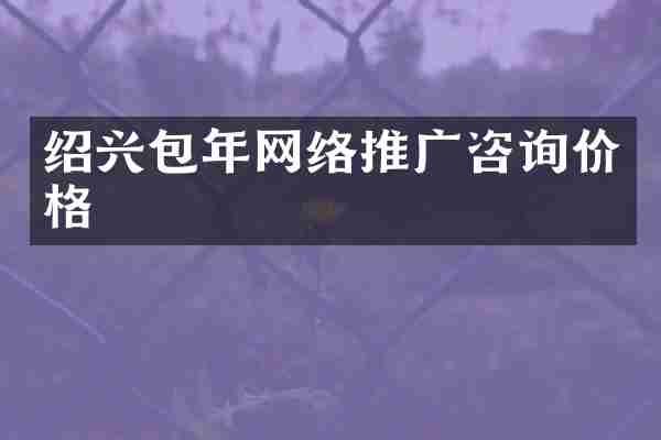 绍兴包年网络推广咨询价格