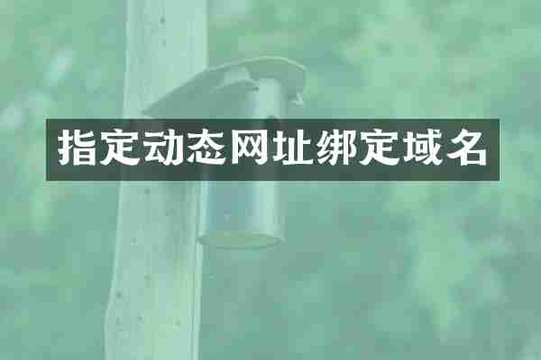 指定动态网址绑定域名