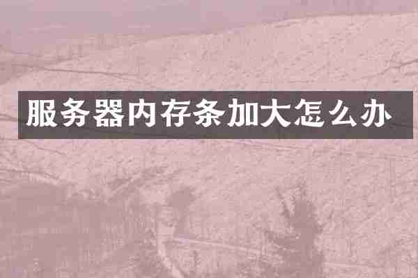 服务器内存条加大怎么办