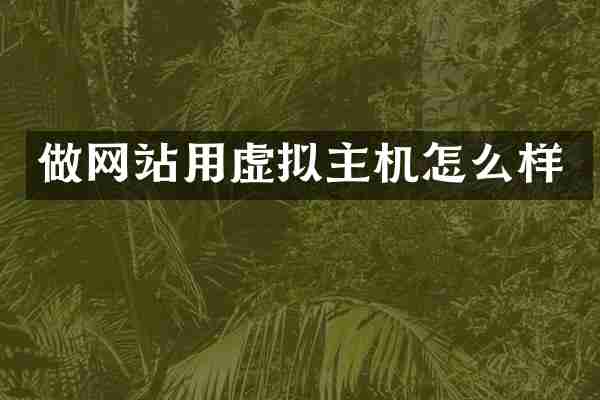 做网站用虚拟主机怎么样
