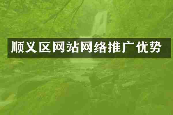 顺义区网站网络推广优势