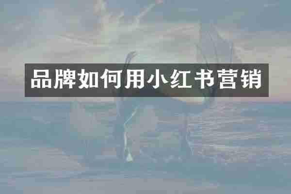 品牌如何用小红书营销