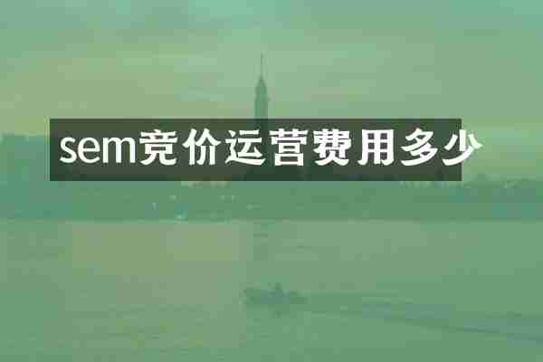 sem竞价运营费用多少
