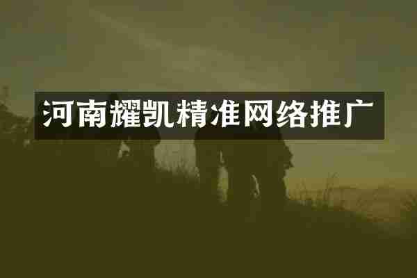 河南耀凯精准网络推广