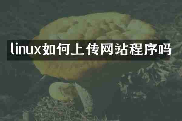 linux如何上传网站程序吗
