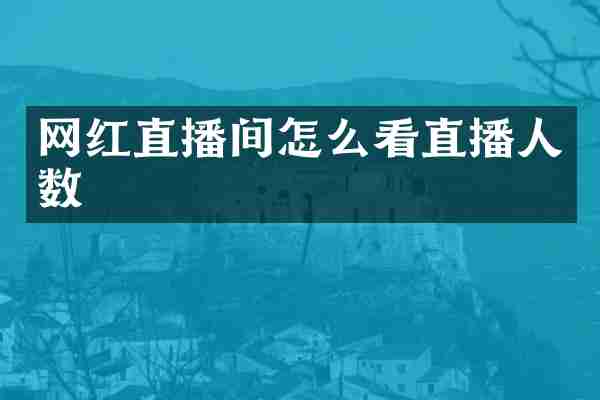 网红直播间怎么看直播人数
