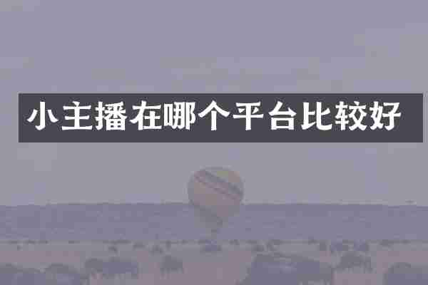 小主播在哪个平台比较好