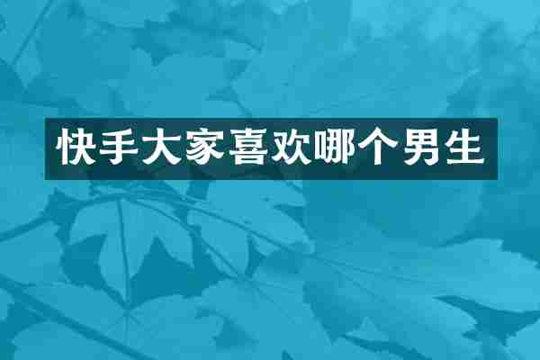 快手大家喜欢哪个男生