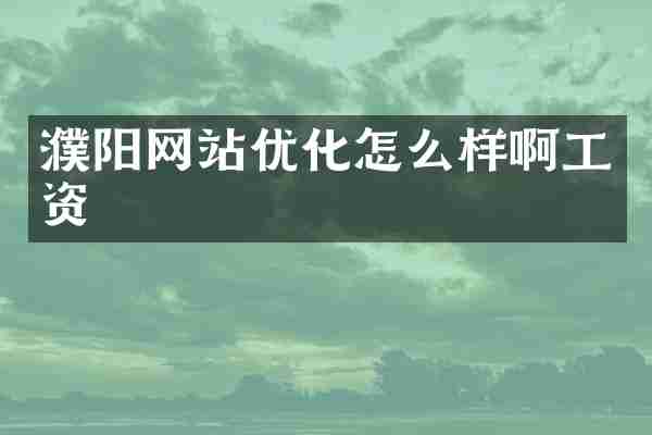 濮阳网站优化怎么样啊工资