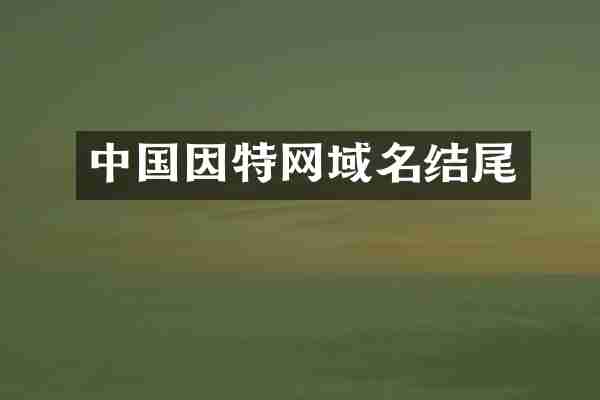 中国因特网域名结尾