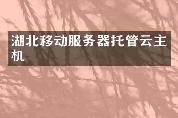 湖北移动服务器托管云主机