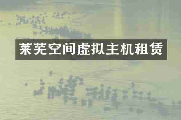 莱芜空间虚拟主机租赁