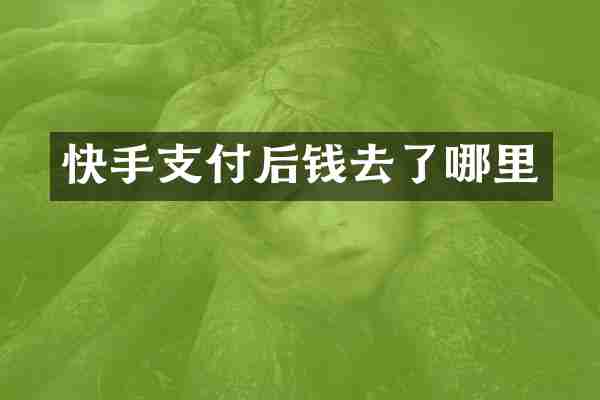 快手支付后钱去了哪里