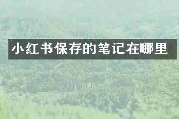 小红书保存的笔记在哪里