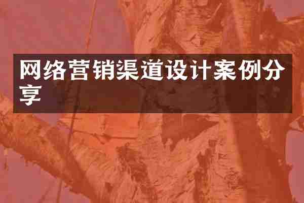 网络营销渠道设计案例分享
