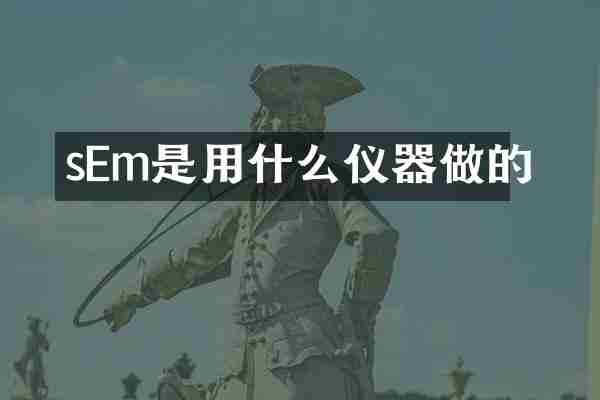 sEm是用什么仪器做的