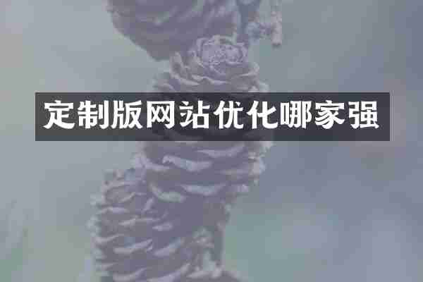 定制版网站优化哪家强